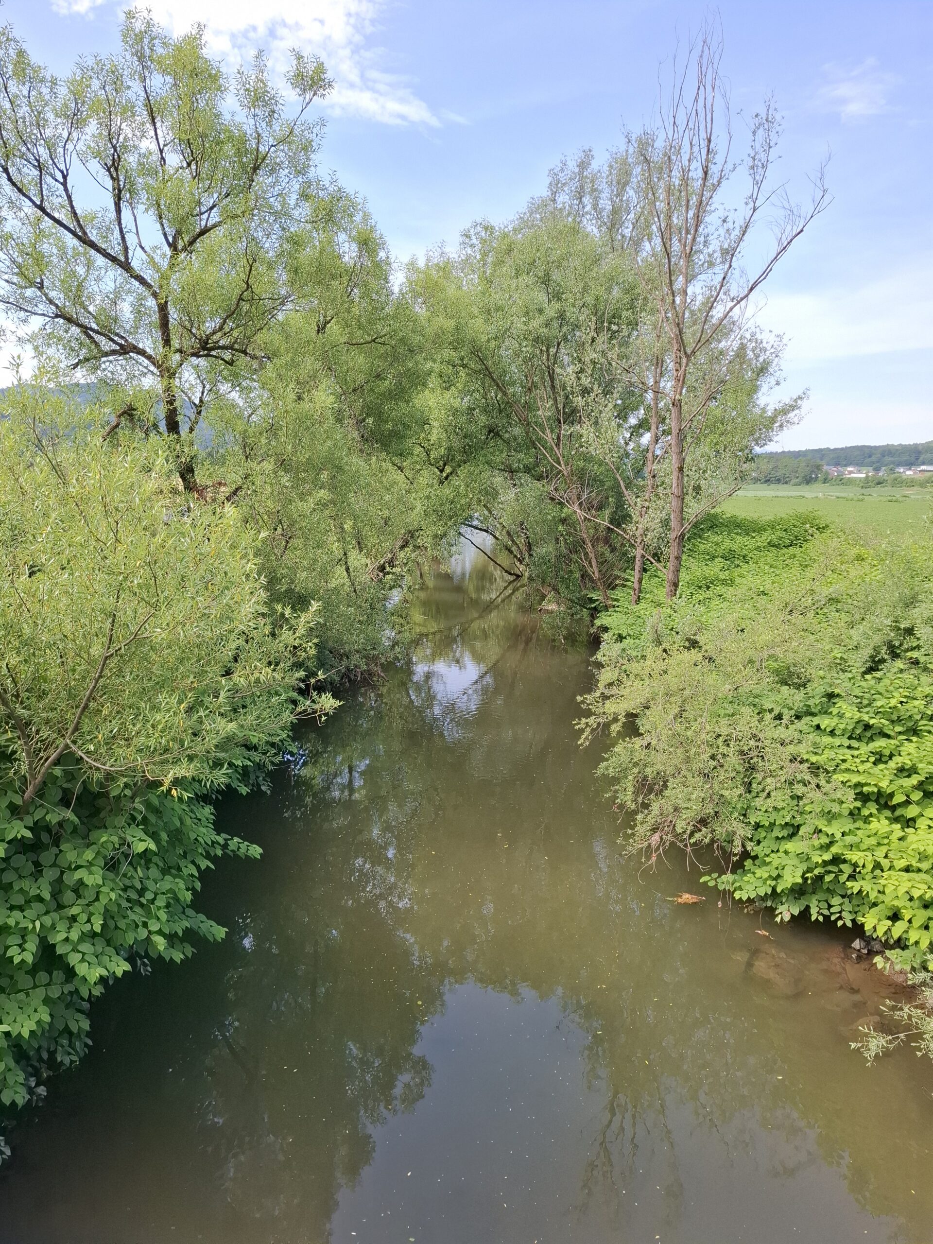 Sulm_EliWerschonig (27)